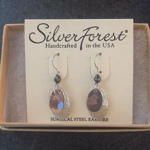 Silver Oval dangle earrings
